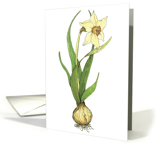 Daffodil - Mother's Day card (137635)