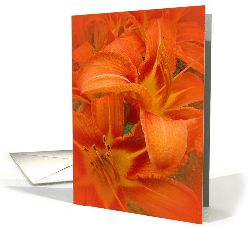 Blank, Tiger Lilies Cluster card (224835)