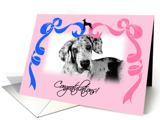 Congratulations on the New Litter - Great Dane card (1214036)