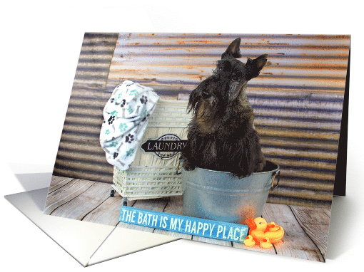 Humorous Happy Birthday Card featuring a Scottie Dog in the Tub card