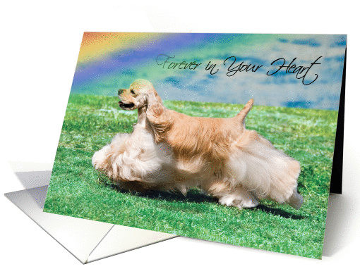 Pet Loss Sympathy Card - Forever In Your Heart card (962663)