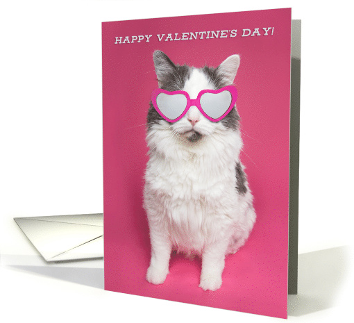 Happy Valentine's Day For Anyone Cat in Heart Glasses Humor card