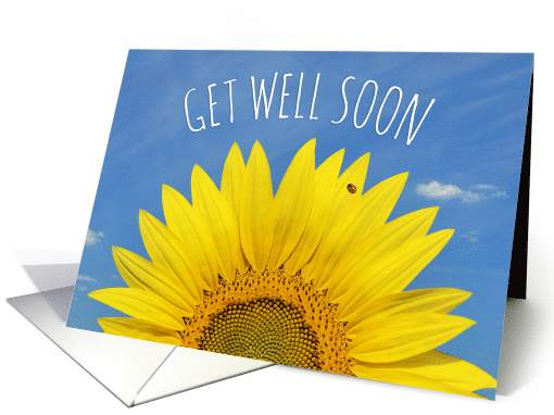 Get Well Soon For Anyone Beautiful Yellow Sunflower Photograph card