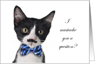 Prom? Cat with Mustache Question card