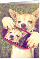Funny Chihuahua Take Care of Your-Selfie Get Well Humor card
