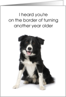 Half Birthday Border Collie Chase You Down Six Months card