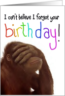 Monkey Happy Belated Birthday Funny Animal Paper Card