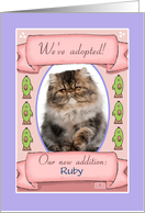 We’ve Adopted a Cat Photo Card Announcement card