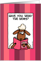 have you ’herd’ the news card