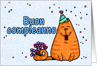 happy birthday cat - Italian card