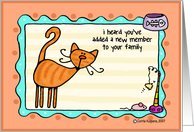 Getting a New Kitty Ginger Cat card