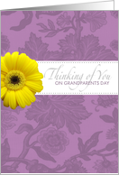Thinking of you - Grandparents Day card