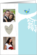 Photo Wedding Invitation - Bluebird of Happiness card