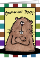 Happy Groundhog Day February 2nd Working Groundhog card