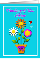 Thinking of You Cards for Sister from Greeting Card Universe