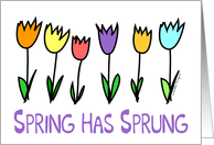 Happy Spring - Tulips card