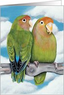 Lovebird Parrots Painting card