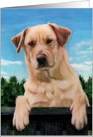 Labrador Retriever Painting card