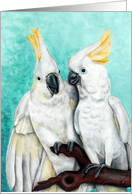 Together Again Announcement Cockatoo Art card