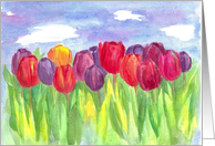 Happy Birthday Tulip Field Watercolor Fine Art card