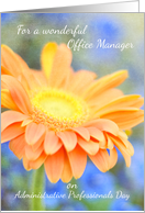 Office Manager Administrative Professionals Day Orange Daisy card