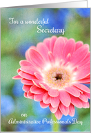 Administrative Professionals Day For Secretary card