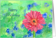 Happy Birthday Pink Gerbera Daisy Watercolor card