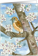 Congratulations From Group Sparrow Bird Tree Watercolor Painting card