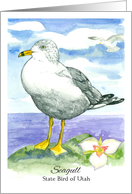 State Bird of Utah Seagull Sego Lily Flower Watercolor card