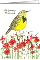 State Bird of Wyoming Indian Paintbrush Wildflower Watercolor card