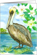 State Bird of Louisiana Brown Pelican Magnolia card