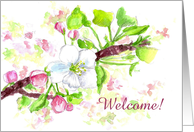 Welcome New Employee Apple Blossom Watercolor Flowers card