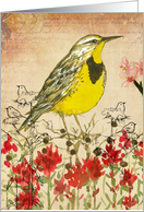 Happy Birthday Meadowlark Indian Paintbrush Collage card