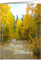 Autumn Trees Golden Leaves Birthday Card Nature Landscape Art card