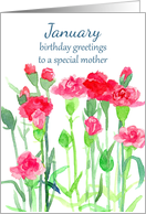 Happy Birthday Mom Red Pink Carnation Birth Flowers card