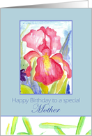 Happy Birthday Mother February Pink Iris Flower card