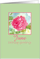 Happy June Birthday Pink Rose Watercolor Flower card