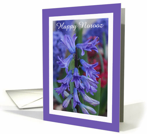 Hyacinth Norooz card (377444)