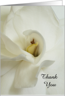 White Gardenia Sympathy Thank You Card