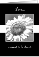 Black and White Mammoth Sunflower Renewing Vows Invitation card