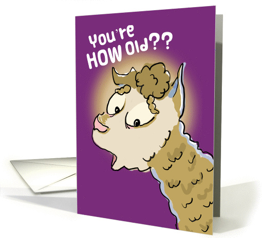 Birthday Humor - Cute Surprised Alpaca card (1333770)