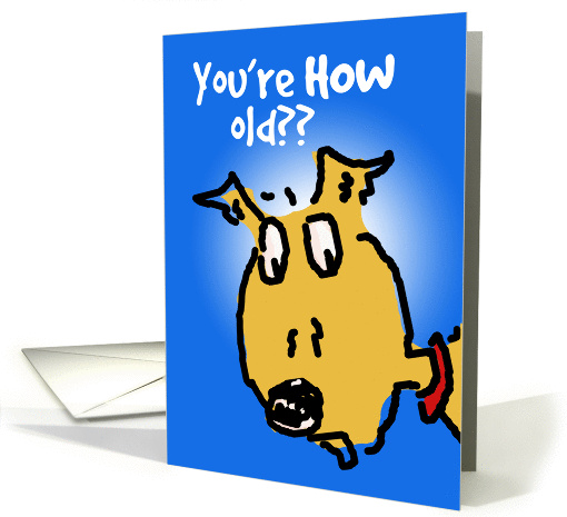 Dog Years Birthday Humor card (975191)