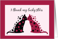 Cats Thankful For Love card