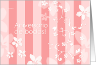 Aniversario de bodas! -wedding anniversary written in spanish card