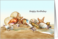 Down By The Sea - Sea Shell Birthday card