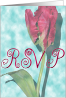RSVP Red Tulip card