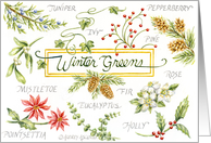 Thank You Christmas Wonderful Winter Greens card