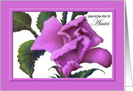 Italian,Female Friend, Birthday Pink Rose Greeting Card, Amici Compleanno, Rosa Dentellare card