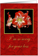I’m so sorry for your loss card
