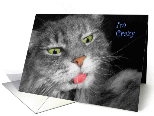 Crazy About You Cross-Eyed Cat Humorous and Romantic card (1028173)
